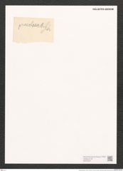 Surirella praerlara A. Schm. (de-Toni-Nr.: Genus 53, Species 2393) Zeichnungen Sammlung Grunow (NHMW-BOT-W0372947)